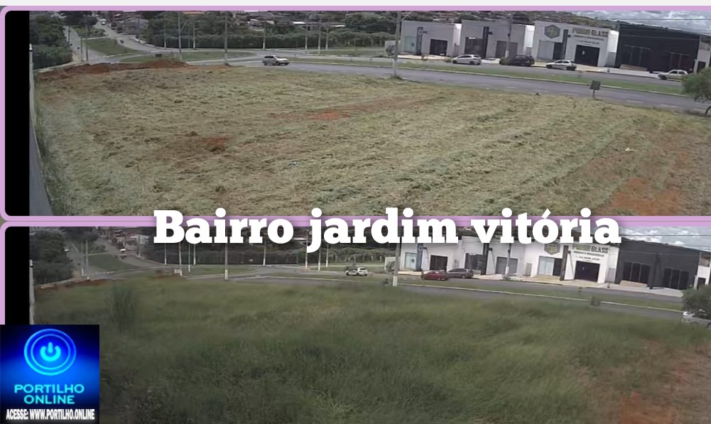 👉🏻🚧👍🏻🤜🏻👊🏻🤛🏻🫴🏻🤝🗣️🫵🏻Após 3 meses, lotes particulares são limpos pela Secretaria de Obras