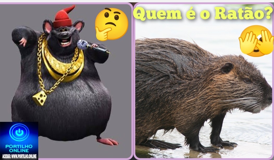 👉🚔🚓QUEM É O ” RATÃO”?🧐👽☠️👺🐭🐀🚨😮🤔😱ELE FOI PRESO E JÁ ESTÁ SOLTO???  Polícia Militar prende autor por Tráfico de Drogas