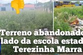 👉🏻👊🏻😡🫣🧐🚧🗣️🫵🏻👎🏻 Terreno tomado pelo mato e entulho ao lado da Escola Estadual Terezinha Marra, no bairro Enéas