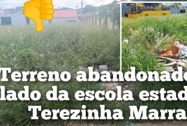 👉🏻👊🏻😡🫣🧐🚧🗣️🫵🏻👎🏻 Terreno tomado pelo mato e entulho ao lado da Escola Estadual Terezinha Marra, no bairro Enéas