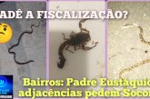 👉🏻🫣😠🫵🏻👎🏻Falta pulso!🕷️🦂Portilho: Oi boa tarde tudo bem? Portilho ajuda a gente aqui do bairro Padre Eustáquio.