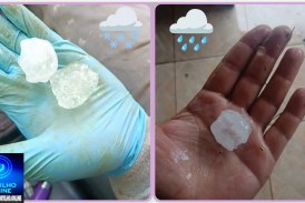 👉🏻🫣🌧️☂️🥬🍅🤝😱🫣Lá vem o granizo! Tempestade destrói lavouras entre São João da Serra Negra e Guimarânia