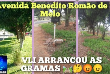  👉🏻🗣️🚧🛤️Lá vem o trem 🚂 🚨 🚆 Portilho ajuda nóis. 👉🏻🚧🧐🗣️🫵🏻🤔🛤️Nós Moradores cuidavamos da grama Aqui na Avenida Benedito Romão de Melo