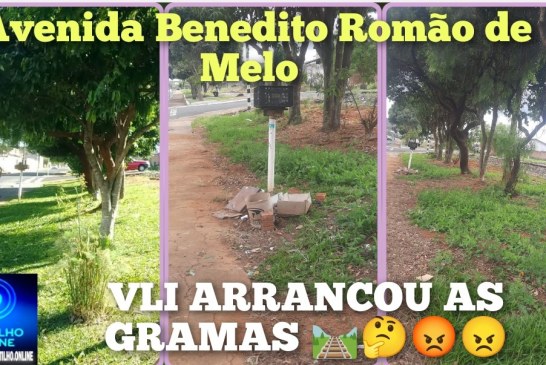  👉🏻🗣️🚧🛤️Lá vem o trem 🚂 🚨 🚆 Portilho ajuda nóis. 👉🏻🚧🧐🗣️🫵🏻🤔🛤️Nós Moradores cuidavamos da grama Aqui na Avenida Benedito Romão de Melo