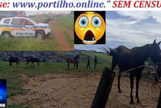 👉🚨😱📢🚔🚓🤔Reintegração de posse. Proprietarios deverão recolher esses animais com urgencia!