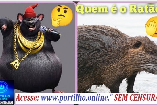 👉🚔🚓QUEM É O ” RATÃO”?🧐👽☠️👺🐭🐀🚨😮🤔😱ELE FOI PRESO E JÁ ESTÁ SOLTO???  Polícia Militar prende autor por Tráfico de Drogas