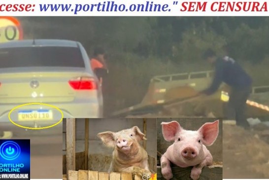 👉 👿 VOCÊ 🫵🗣🫵 CONHECE ESSE👉 👿  ESSE PORCÃO?🤢🤮😡👽💩👺👿🐖🐷🐽Portilho olha ai esses dois porcões jogando entulhos e lixos na Entrada dos. Pedros e Tião leiteiro.