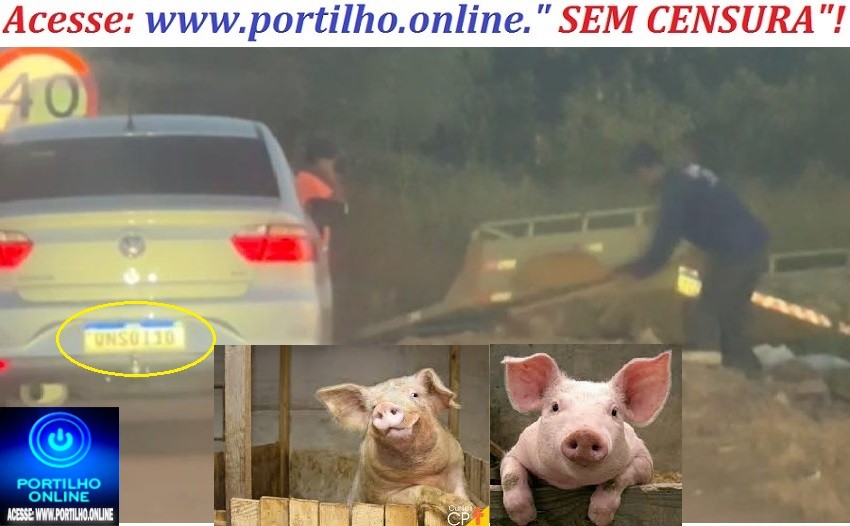👉 👿 VOCÊ 🫵🗣🫵 CONHECE ESSE👉 👿  ESSE PORCÃO?🤢🤮😡👽💩👺👿🐖🐷🐽Portilho olha ai esses dois porcões jogando entulhos e lixos na Entrada dos. Pedros e Tião leiteiro.