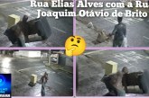👉🏻🗣️🫵🏻 vídeos do “espalha treco “!🤔🛋️😱Morador é flagrado descartando móveis em vias públicas durante a madrugada em Monte Carmelo