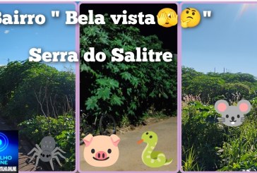 🫵🦟Serra do Salitre: Boa noite Serra do Salitre.