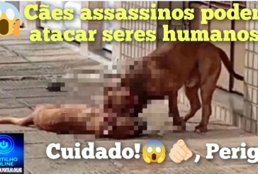 👉🏻🚨😱🫵🏻 Cães assassinos 😠☠️👺🚔🚑🚒Olá Portilho, uma situação grave que vem acontecendo no bairro Serra Negra