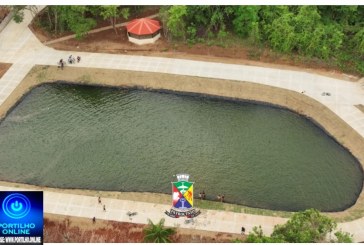 👉🏻🫵🏻😱🫣 Bosque da Matinha está fechado 🔒?👉🏻🫵🏻Parque da Matinha será reaberto em 4 de maio com reforço na segurança, nova iluminação e