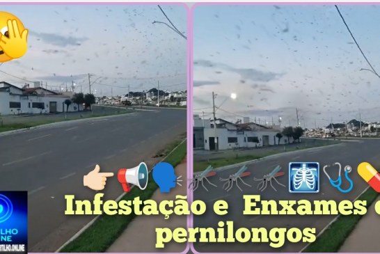 👉🏻📢🗣🦟🦟🦟🩻🩺💊Infestação e  Enxames de pernilongos às margens do “Rêgo do Deiró” preocupam moradores