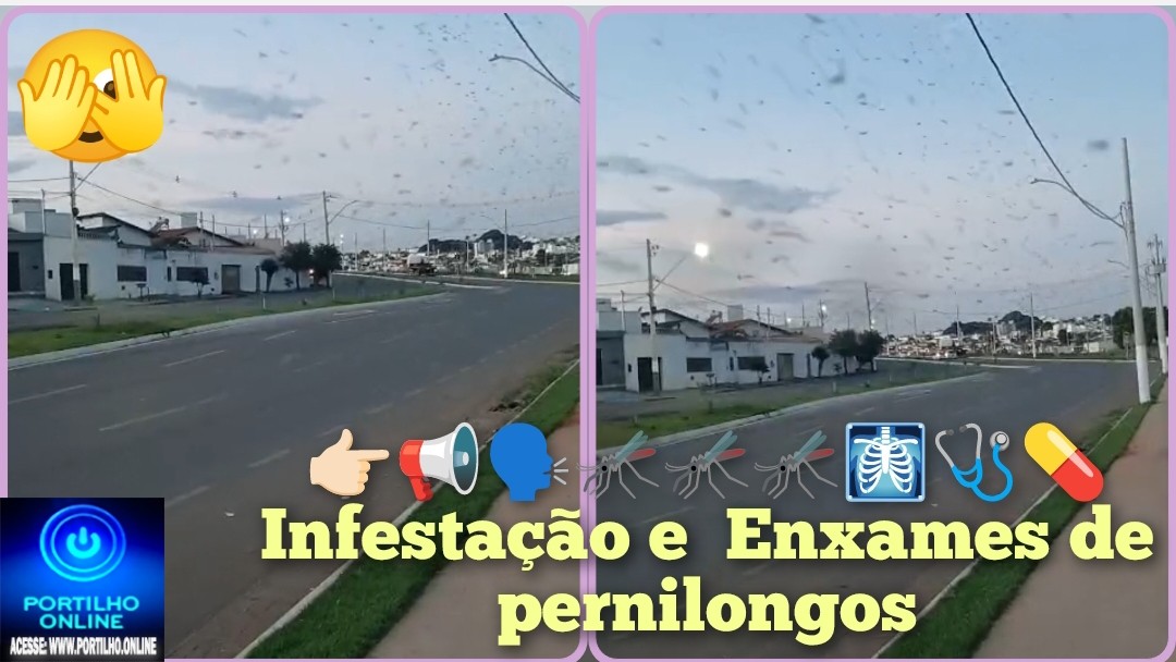 👉🏻📢🗣🦟🦟🦟🩻🩺💊Infestação e  Enxames de pernilongos às margens do “Rêgo do Deiró” preocupam moradores