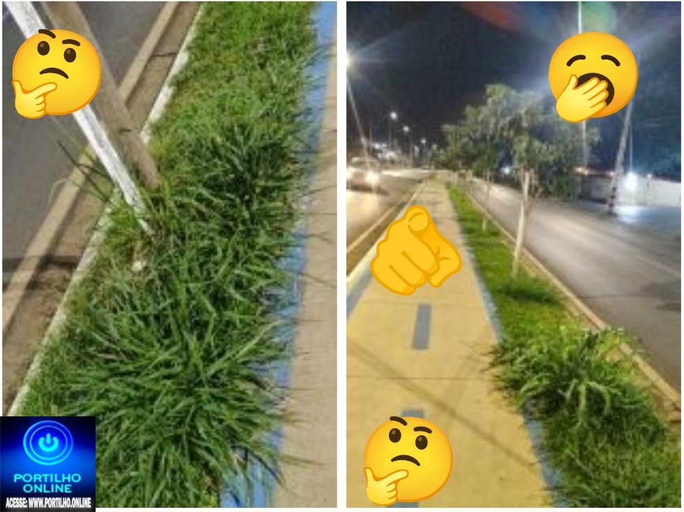 👉📢😡🧐🔎👀🔍🤫👎🤜🤝*”Boa noite Portilho: Tá zuado pra caramba essas braquiárias tomando de conta da grama”*