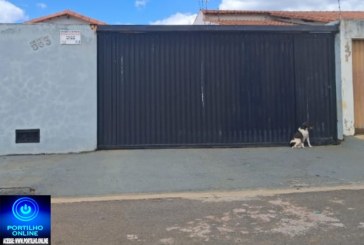 👉🏻🫵🏻😠😱🚔🐕‍🦺🦮🐕Portilho, olha aí a crueldade. Cadelinha com fome e sede deixada do lado de fora