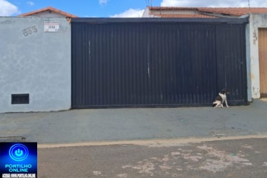 👉🏻🫵🏻😠😱🚔🐕‍🦺🦮🐕Portilho, olha aí a crueldade. Cadelinha com fome e sede deixada do lado de fora