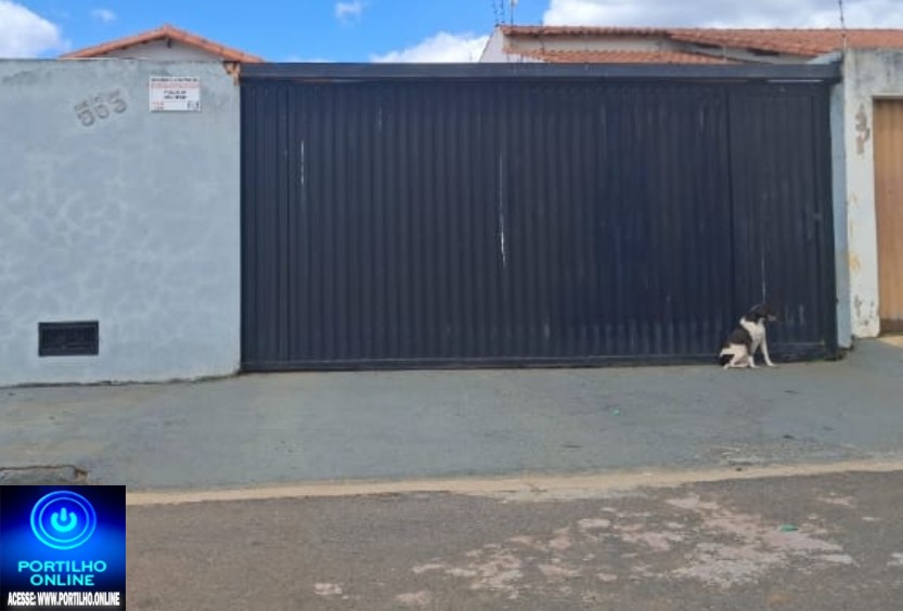 👉🏻🫵🏻😠😱🚔🐕‍🦺🦮🐕Portilho, olha aí a crueldade. Cadelinha com fome e sede deixada do lado de fora