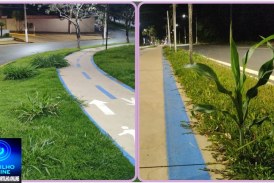 👉🏻🤙🏻🌽🤝👏🏻🥇🫵🏻🤝Secretário de obras Thiago Malagoli, exemplo de gestão pública Portilho não e só a avenida