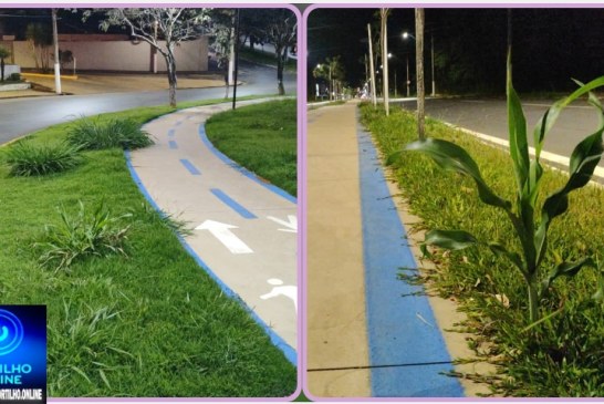 👉🏻🤙🏻🌽🤝👏🏻🥇🫵🏻🤝Secretário de obras Thiago Malagoli, exemplo de gestão pública Portilho não e só a avenida