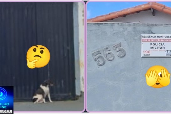 👉🏻🫵🏻🐕‍🦺🦮🐕Sabe aquela matéria da ” cadelinha supostamente abandonada”🫵🫵‍🦺🦮