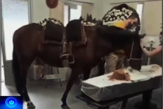 👉🏻🤔😢😭🕯️⚰️🐴🐎Velório. VÍDEO: Égua ‘chora’ ao reconhecer dono morto em velório e emociona família em SC