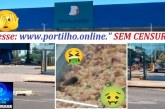 👉😡🤮🤢😷☠️😱 Bernardão Belvedere ❓🤔💸🛒💰🛒🛒🛒Bernardão ” Informa”….!!Boa Noite portilho quero denunciar a porcariada do Bernardão Belvedere