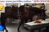 👉🏻🤔😢😭🕯️⚰️🐴🐎Velório. VÍDEO: Égua ‘chora’ ao reconhecer dono morto em velório e emociona família em SC