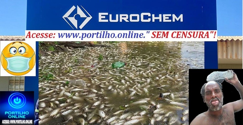 👉📢⚖👽🗣🚔😱🚨👀☠💀EUROCHEM CRIMINOSA!  Mortandade de peixes preocupa moradores e levanta questionamentos sobre fiscalização ambiental👽☠🐡🐟🐠