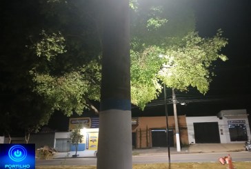👉📢🕯👍🙌🤔🤫🌳🌳🌳🌳Bairro Enéias: comerciantes e moradores pedem poda das árvores na Avenida Odir Aleixo