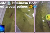 👉🏻👍🏻👏🏻🫵🏻⛲🐠🐟🤔Fonte luminosa é limpa após denúncia, mas volta a sofrer com vandalismo