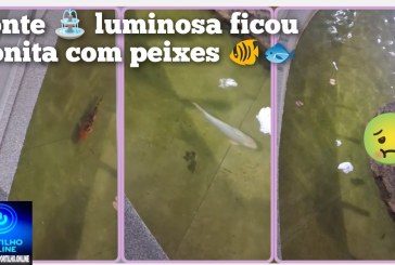 👉🏻👍🏻👏🏻🫵🏻⛲🐠🐟🤔Fonte luminosa é limpa após denúncia, mas volta a sofrer com vandalismo