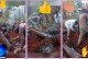 👉🏻👍🏻🙌🏻🤙🏻👏🏻🫵🏻🚧Pedreiros de excelência mostram competência e dedicação em serviço no Jardim Vitória