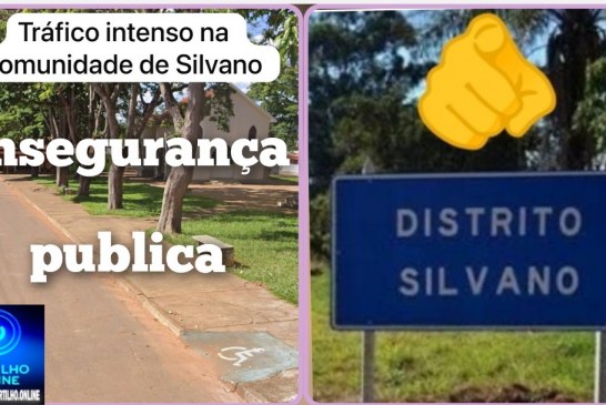 👉🏻🚨🚔👎🏻👎🏻👎🏻👎🏻👀👽☠️💀👿👺👹Silvano. Boca de fumo domina povoado. Insegurança publica      🫣 