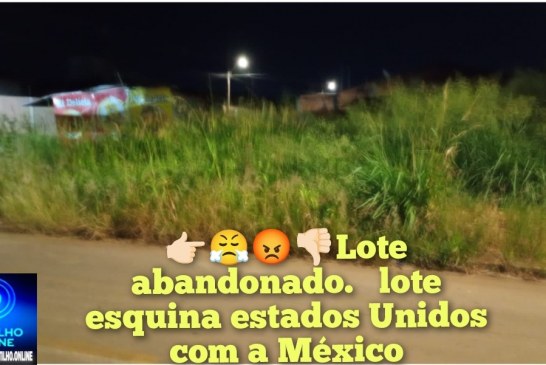 👉🏻😤😡👎🏻❔👀🤮🤢Lote abandonado.  Boa noite esse lote é  na esquina estados Unidos com a México
