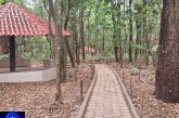 👉🏻🤝🫵🏻🐦 Notícias 🗞️ da prefeitura…Parque da Matinha passa por revitalização com melhorias estruturais e nova entrada de acesso