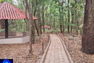👉🏻🤝🫵🏻🐦 Notícias 🗞️ da prefeitura…Parque da Matinha passa por revitalização com melhorias estruturais e nova entrada de acesso