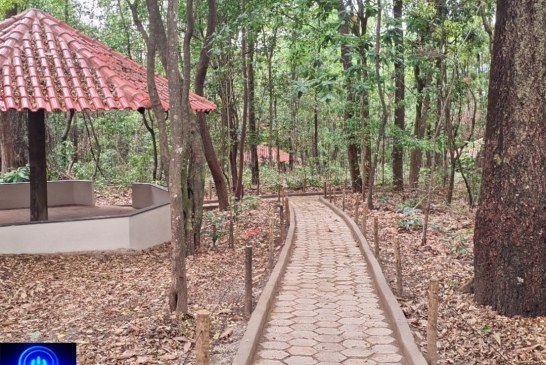 👉🏻🤝🫵🏻🐦 Notícias 🗞️ da prefeitura…Parque da Matinha passa por revitalização com melhorias estruturais e nova entrada de acesso