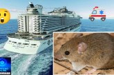 👉🏻😱 ELE morreu. Carmo do Paranaíba🚑🕯⚰😪🚨🐀🐁Minas Gerais registra 1ª morte por hantavírus no Brasil, em 2026