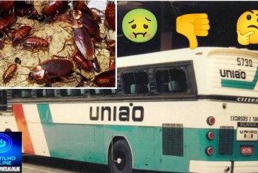 👉🏻😱🪳”Expresso Barata$”🪳🤢🤢🤮🤧🪳🪳🪳 dentro de ônibus 🚌 🫵🏻 do expresso União. Falta de higiene . Vergonha