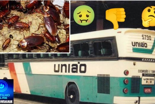 👉🏻😱🪳”Expresso Barata$”🪳🤢🤢🤮🤧🪳🪳🪳 dentro de ônibus 🚌 🫵🏻 do expresso União. Falta de higiene . Vergonha