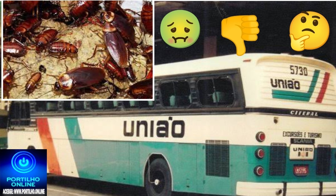 👉🏻😱🪳”Expresso Barata$”🪳🤢🤢🤮🤧🪳🪳🪳 dentro de ônibus 🚌 🫵🏻 do expresso União. Falta de higiene . Vergonha