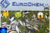 👉🏻😠🫵🏻🗣️🐠🐟🚔🚨😱👎🏻Erochem. Portilho essas mortandades de peixes   Isso é praga e veneno na agua da barragem sabao 1