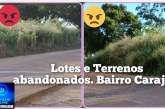 👉🏻🗣️👊🏻😱🐭🐁🐀🐍🦟🕷️🦂 Portilho Vc posta uma materia Pará mim sobre o estado de abandono no bairro carajas  Mato lá tá muito alto