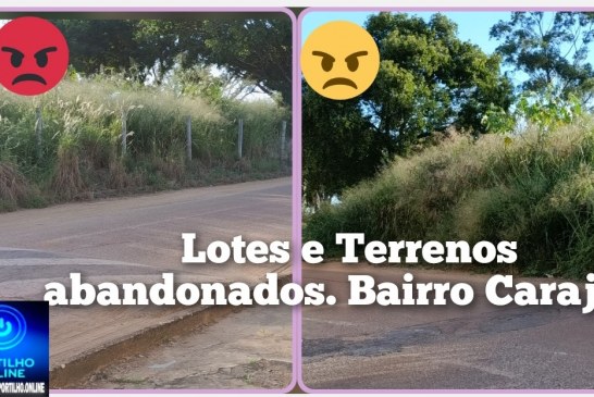 👉🏻🗣️👊🏻😱🐭🐁🐀🐍🦟🕷️🦂 Portilho Vc posta uma materia Pará mim sobre o estado de abandono no bairro carajas  Mato lá tá muito alto