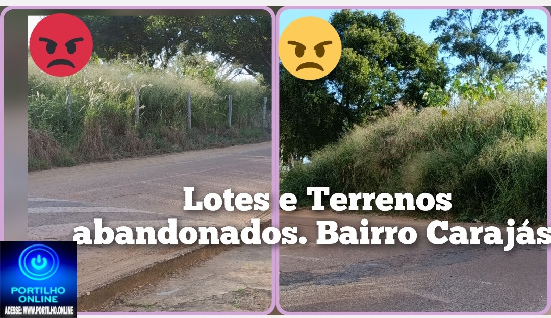 👉🏻🗣️👊🏻😱🐭🐁🐀🐍🦟🕷️🦂 Portilho Vc posta uma materia Pará mim sobre o estado de abandono no bairro carajas  Mato lá tá muito alto