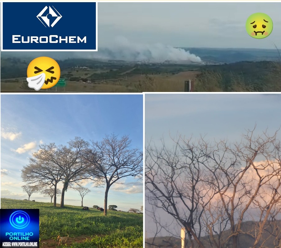 👉🏻🚔⚖️🚨🐠🐟 Eurochem Serra do Salitre. Poluição está destruindo a natureza 🍄🟫