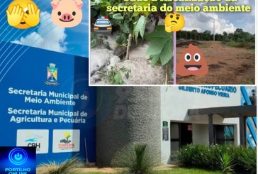 👉🏻🤔🚔🔎⚖️🔍🐷🐖✍🏻🫵🏻😱🚨🫣🤮🤢💩Chapadão de Ferro.👉🏻🤔 Pepino 🥒 🗣️ sem solução.  Granja suína polui natureza e nada de providências da secretaria do meio ambiente 