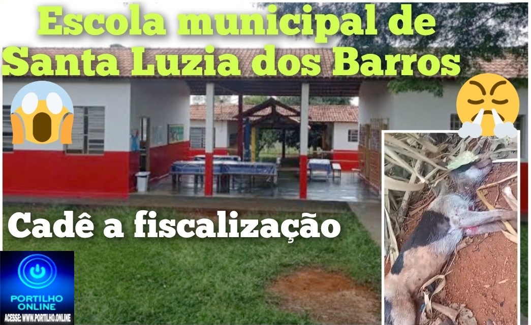 👉🏻🤔🩺🚑🚒🫵🏻 Pitbull trancados e furiosos Poderá atacar as crianças da escola 🎒 🏫 🫣😱🚨🗣️👀🦮*DENÚNCIA ANÔNIMA: RISCO DE ATAQUE DE PITBULL em santa luzia dos barros