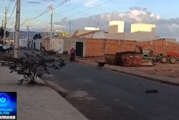 👉🏻🫵🏻🗣️😔😱👀🐶🐕‍🦺🦮🐕Boa tarde Portilho, venho fazer uma reclamação.  Estão soltando um monte de cachorro na Rua Luxemburgo, Nações